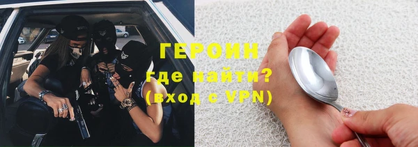 индика Бородино