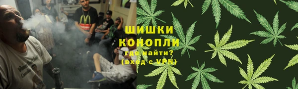 индика Бородино