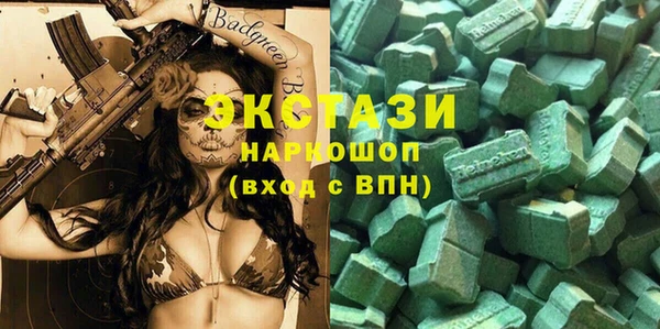 индика Бородино