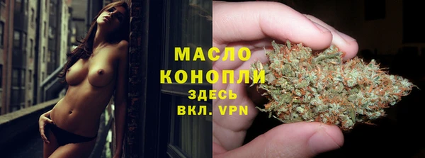 индика Бугульма