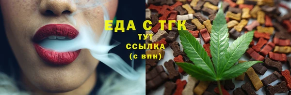 индика Бородино
