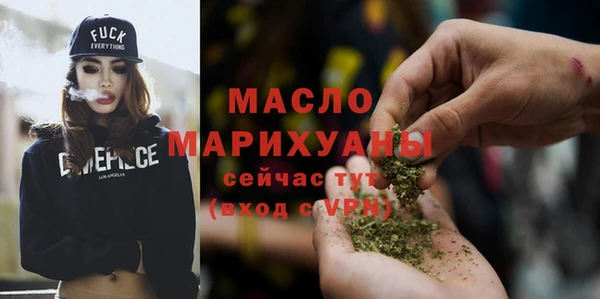 индика Бородино