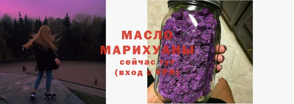 индика Бородино