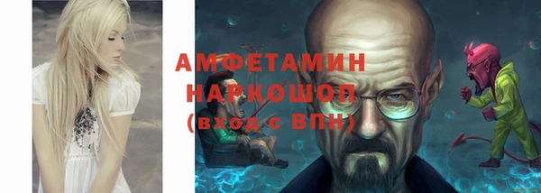 индика Бугульма