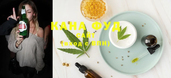 индика Бугульма