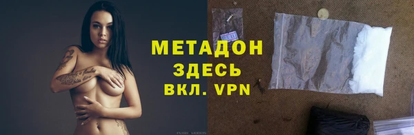индика Бородино