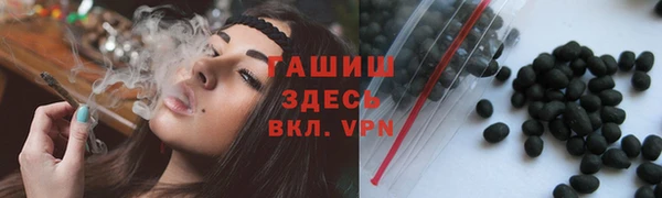 индика Бугульма