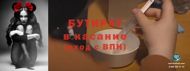 индика Бородино