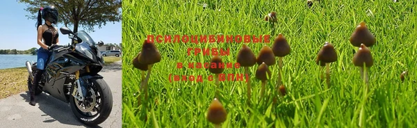 индика Бугульма