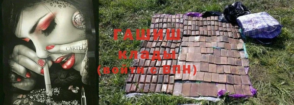 индика Бородино
