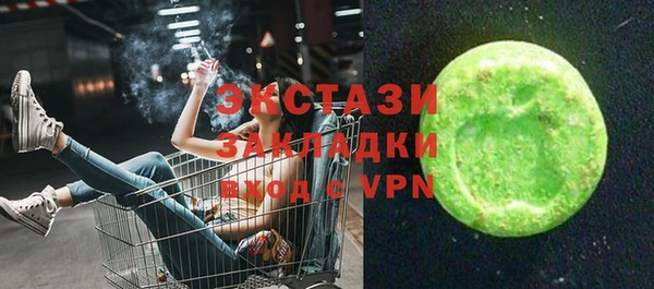 индика Бородино