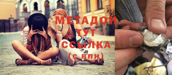 индика Бородино