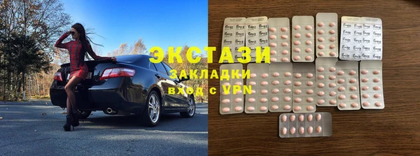 индика Бородино