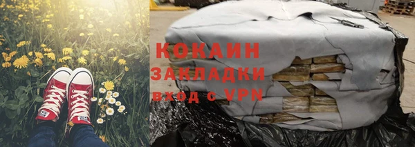 индика Бугульма